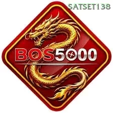 Ikon bos5000
